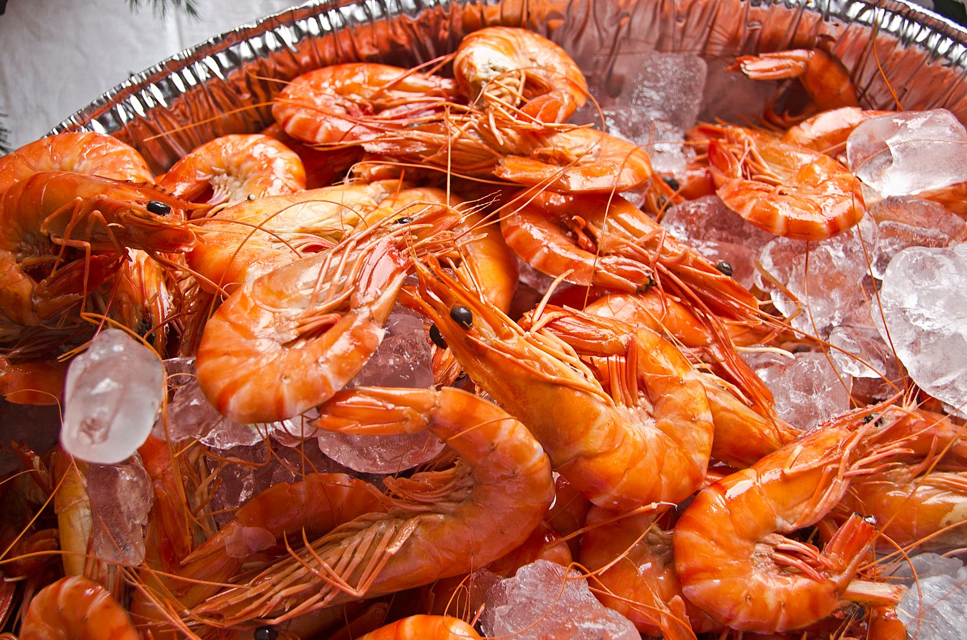 Crushed ice with fresh shrimp and lemon in a stainless steel pan