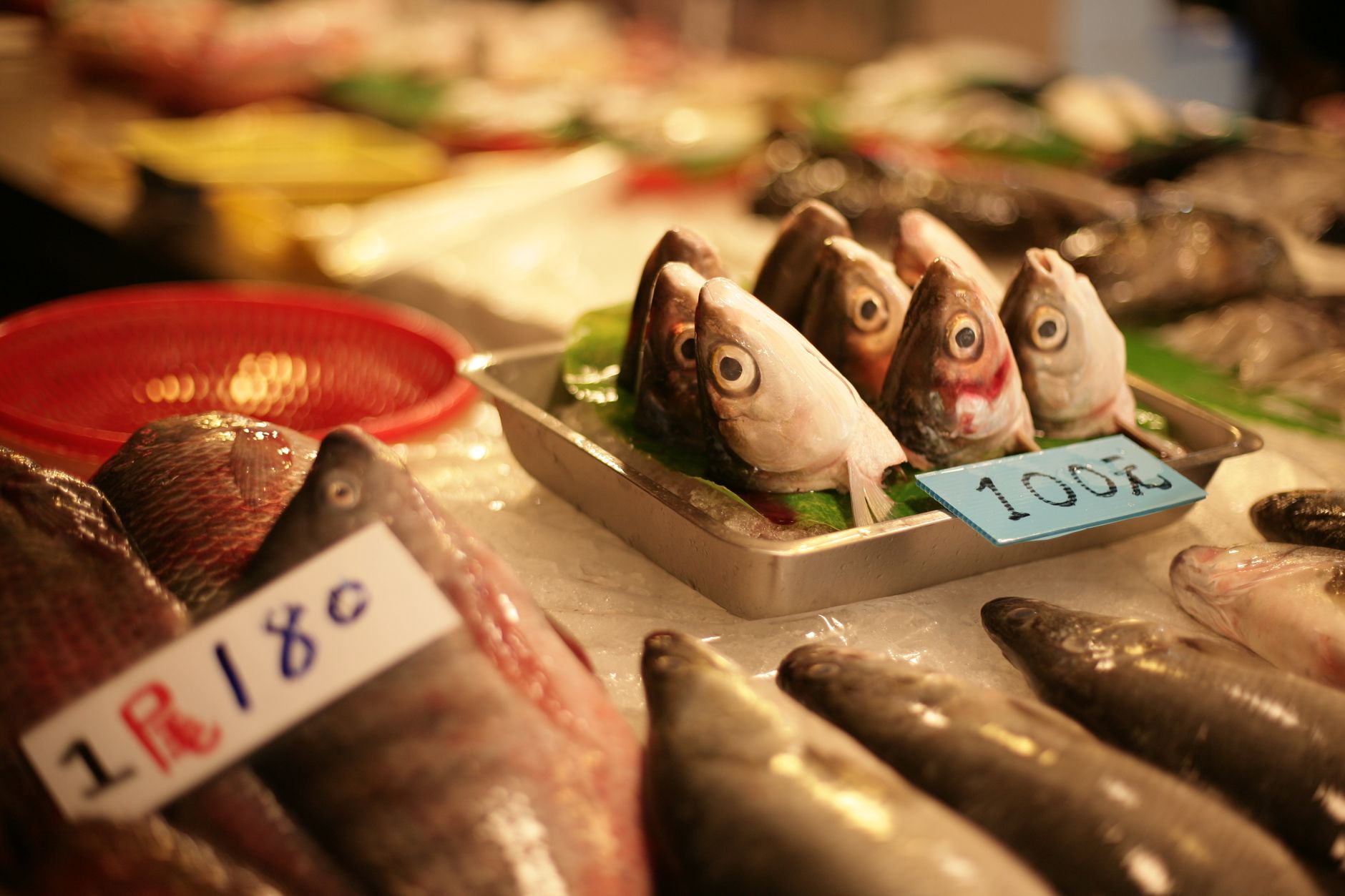 A fish market counter with whole fish laid out on crushed ice